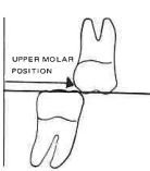 Manual Illustration